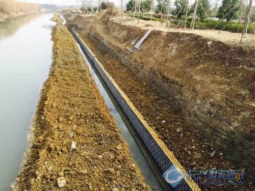 合溪新港進(jìn)行擋墻底板混凝土澆筑工作(圖)